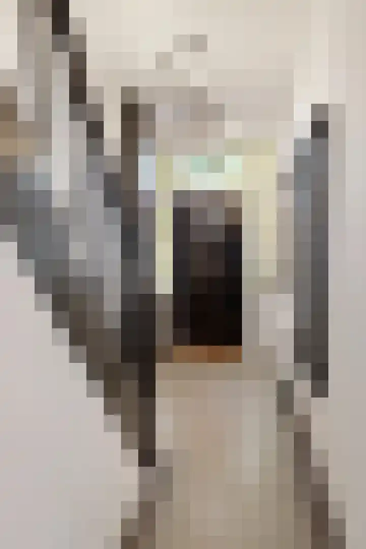Voorstraat 4 Fijnaart thumbnail 7