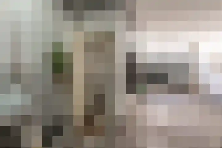 Voorstraat 4 I Kampen thumbnail 27