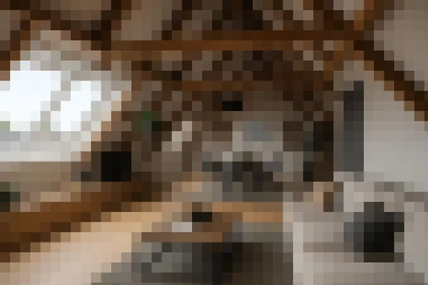 Voorstraat 4 Piershil thumbnail 32