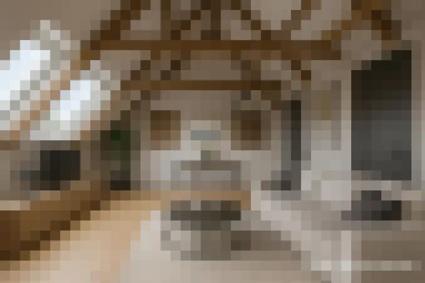 Voorstraat 4 Piershil thumbnail 33