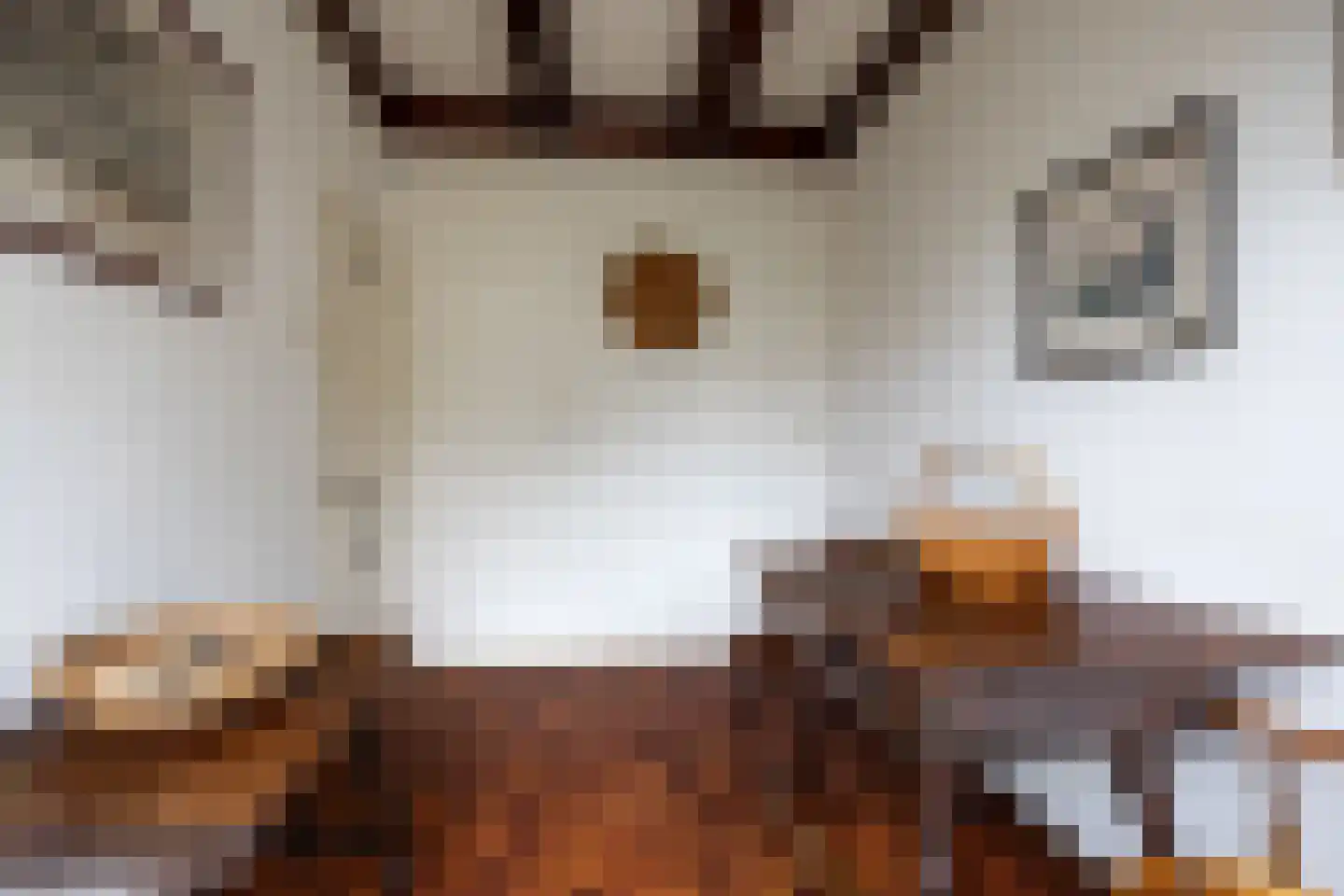 Voorstraat 4 Piershil thumbnail 9