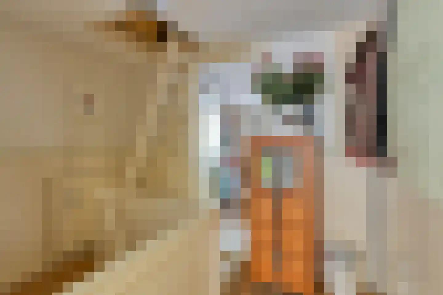 Voorstraat 40 Dirksland thumbnail 24