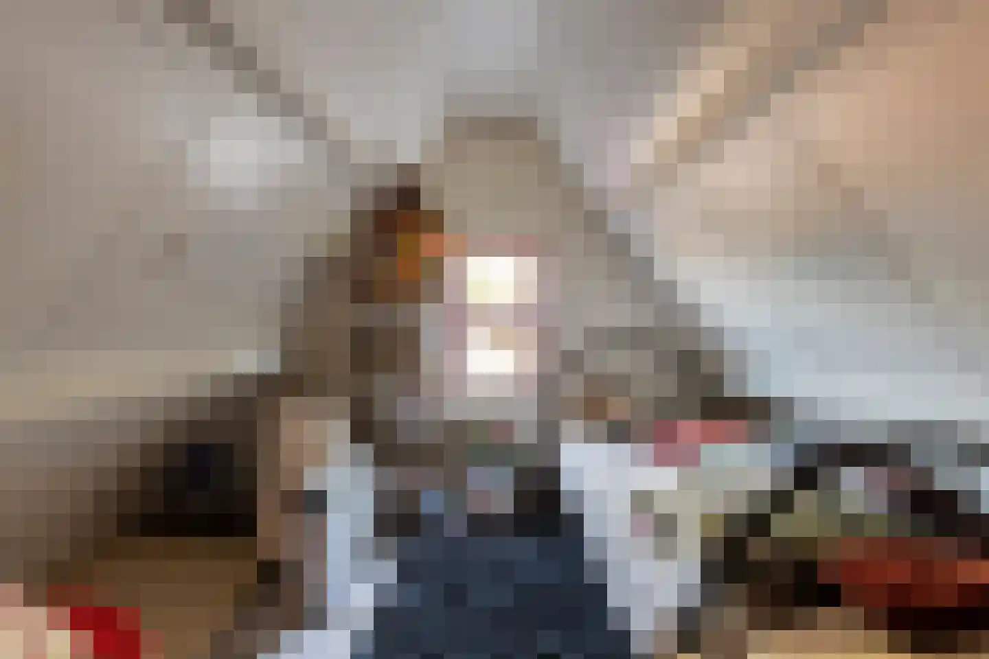 Voorstraat 40 Dirksland thumbnail 29