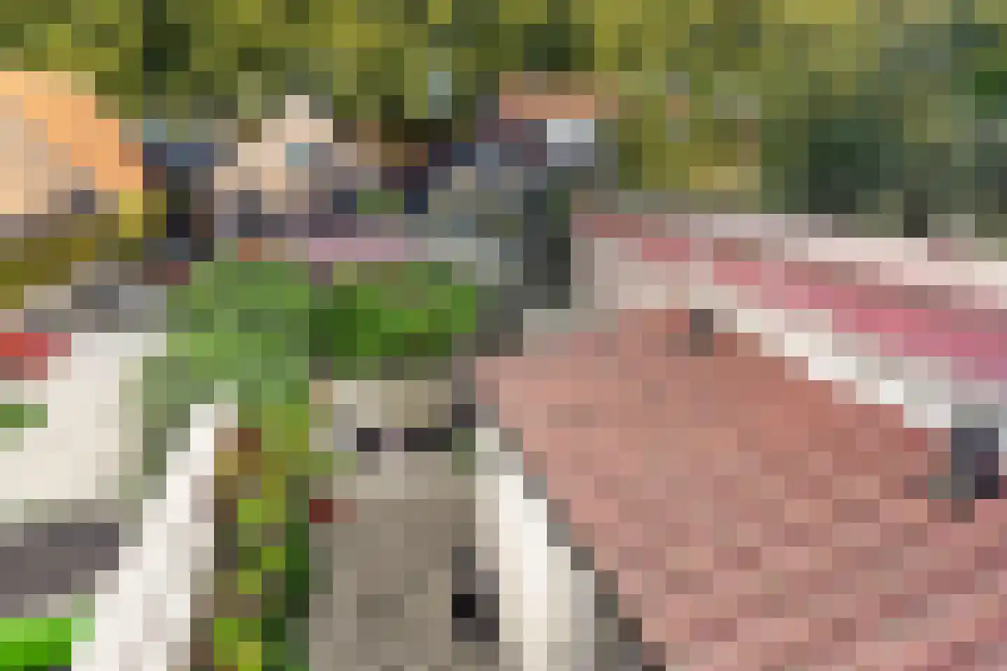 Voorstraat 40 Dirksland thumbnail 33
