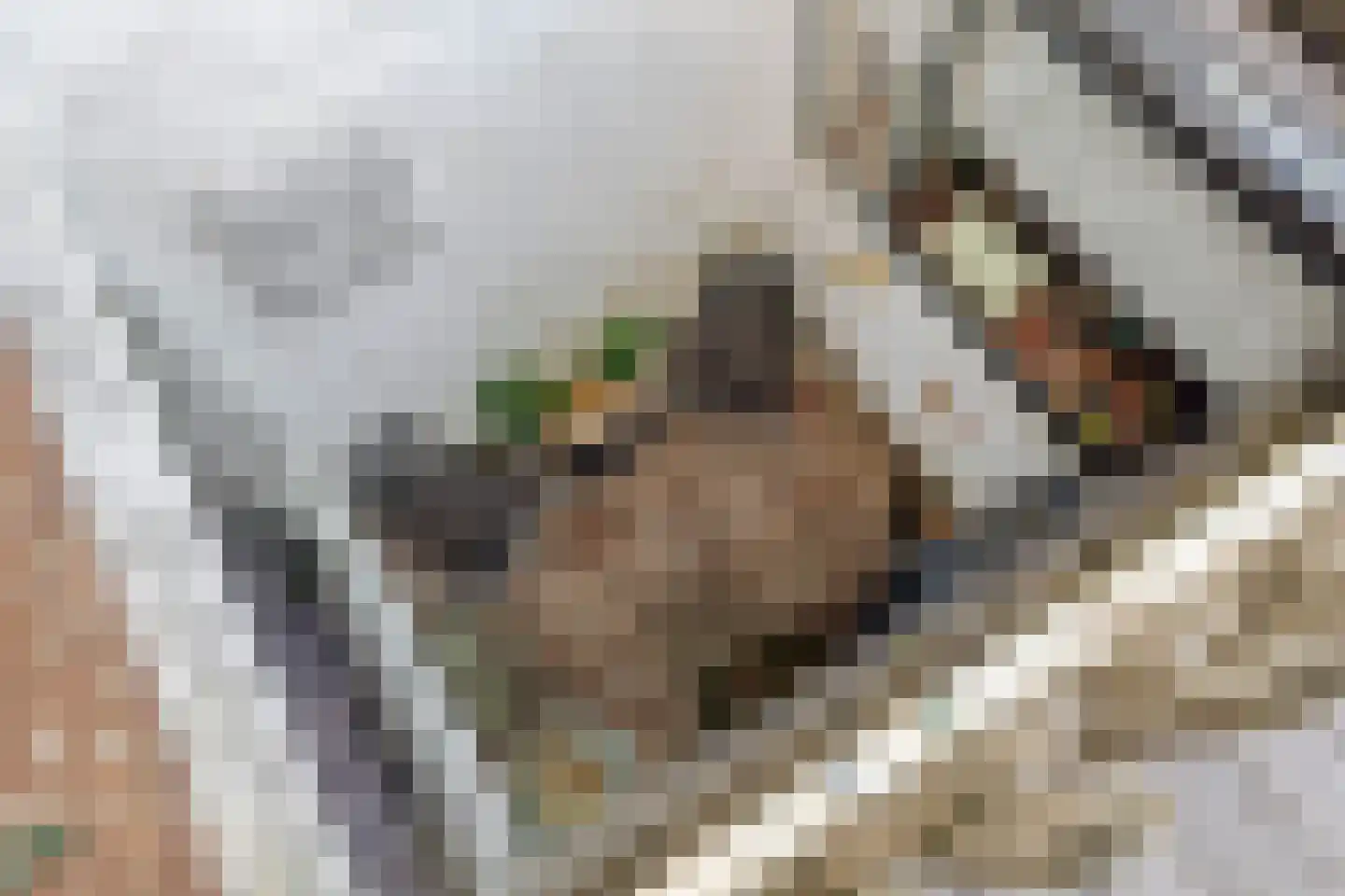 Voorstraat 40 Dirksland thumbnail 34