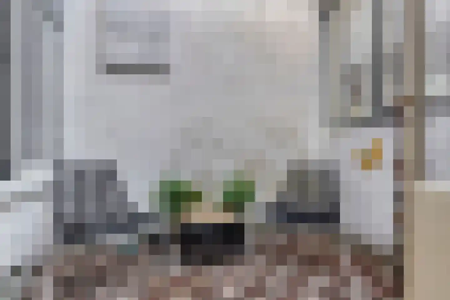 Voorstraat 40 Dirksland thumbnail 36