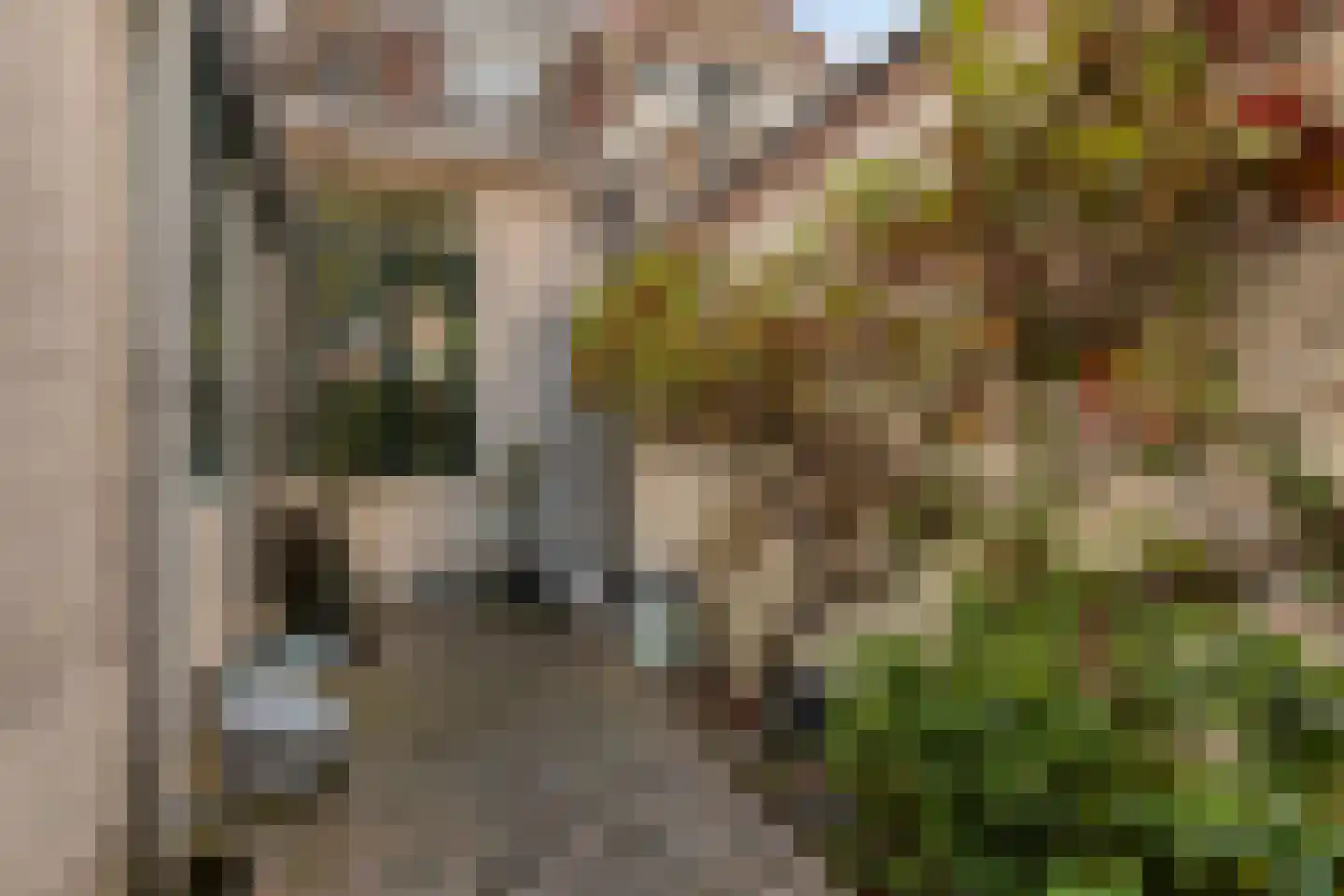 Voorstraat 40 Dirksland thumbnail 37