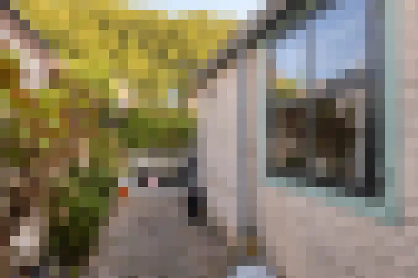 Voorstraat 40 Dirksland thumbnail 38