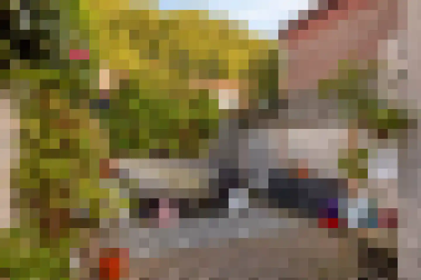 Voorstraat 40 Dirksland thumbnail 39