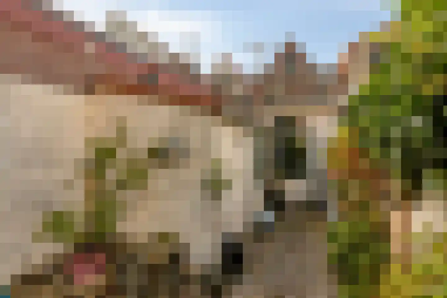 Voorstraat 40 Dirksland thumbnail 41