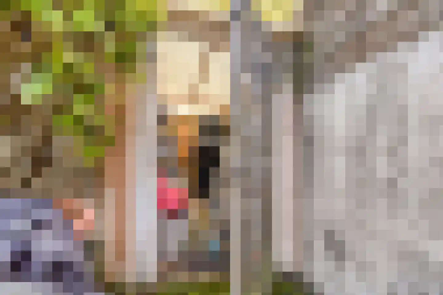 Voorstraat 40 Dirksland thumbnail 42