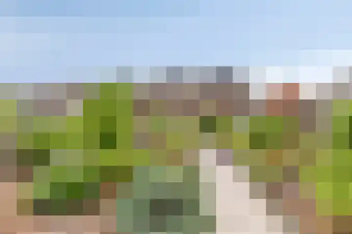 Voorstraat 40 Roosendaal thumbnail 4