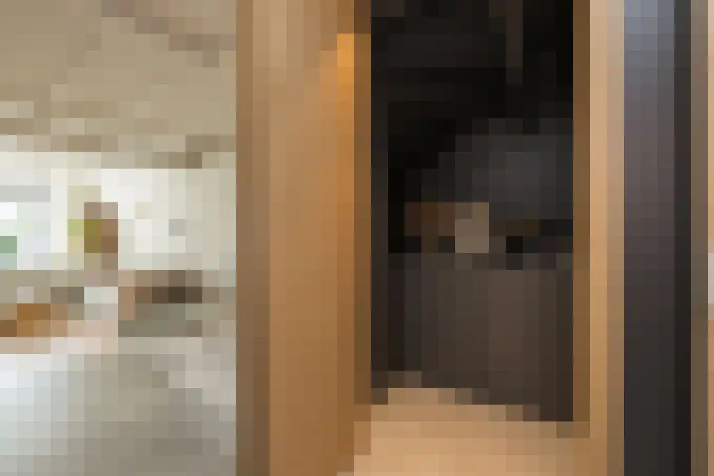 Voorstraat 41 Noordwijk thumbnail 11