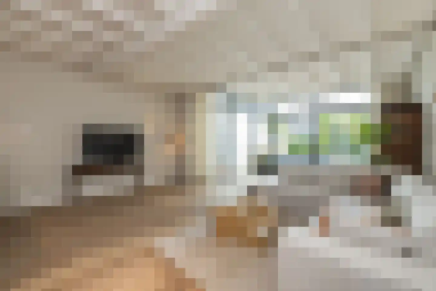 Voorstraat 41 Noordwijk thumbnail 14