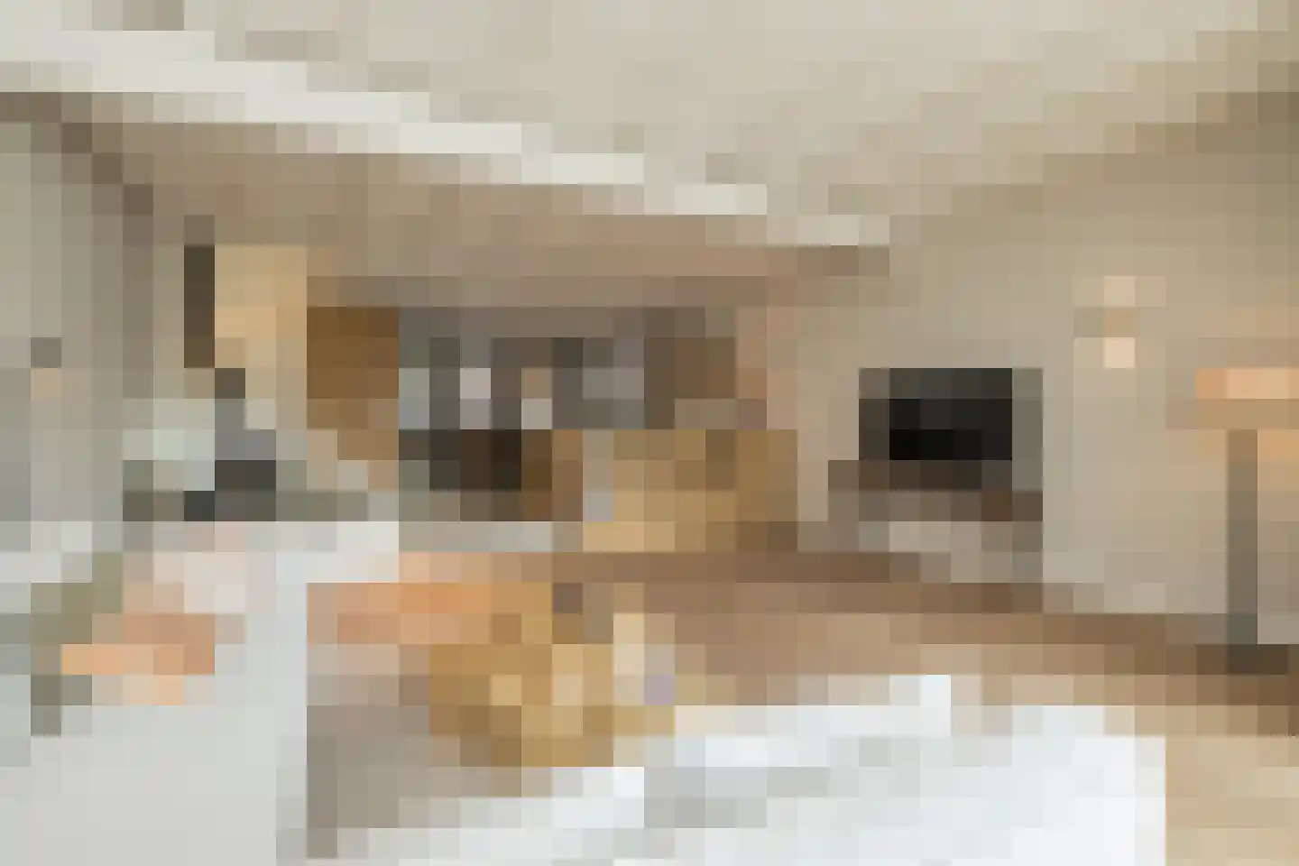 Voorstraat 41 Noordwijk thumbnail 15