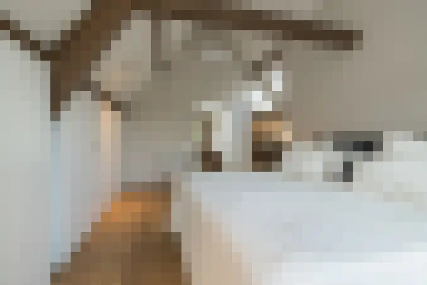 Voorstraat 41 Noordwijk thumbnail 18