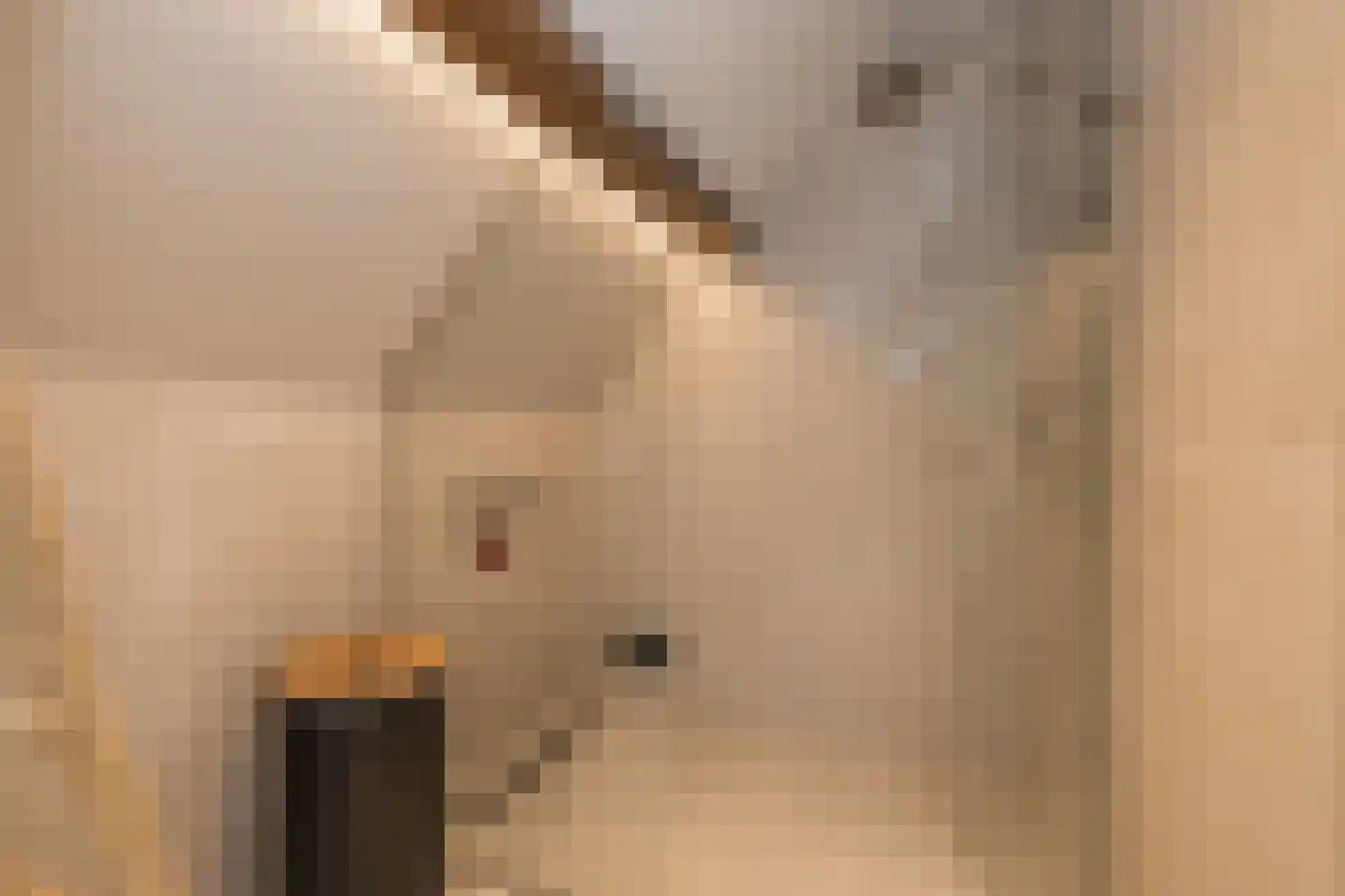 Voorstraat 41 Noordwijk thumbnail 21