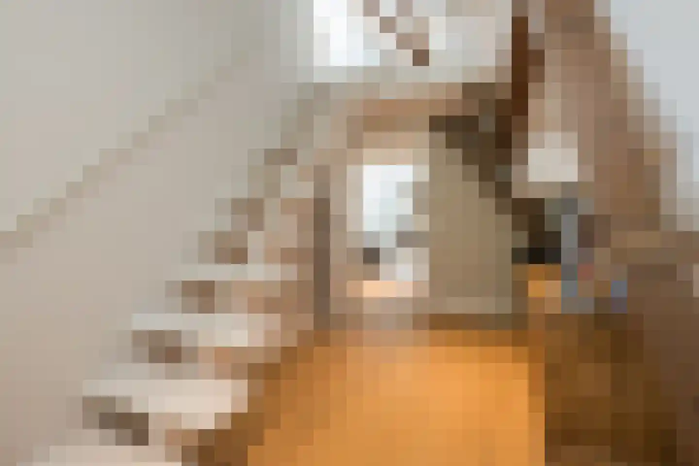 Voorstraat 41 Noordwijk thumbnail 27