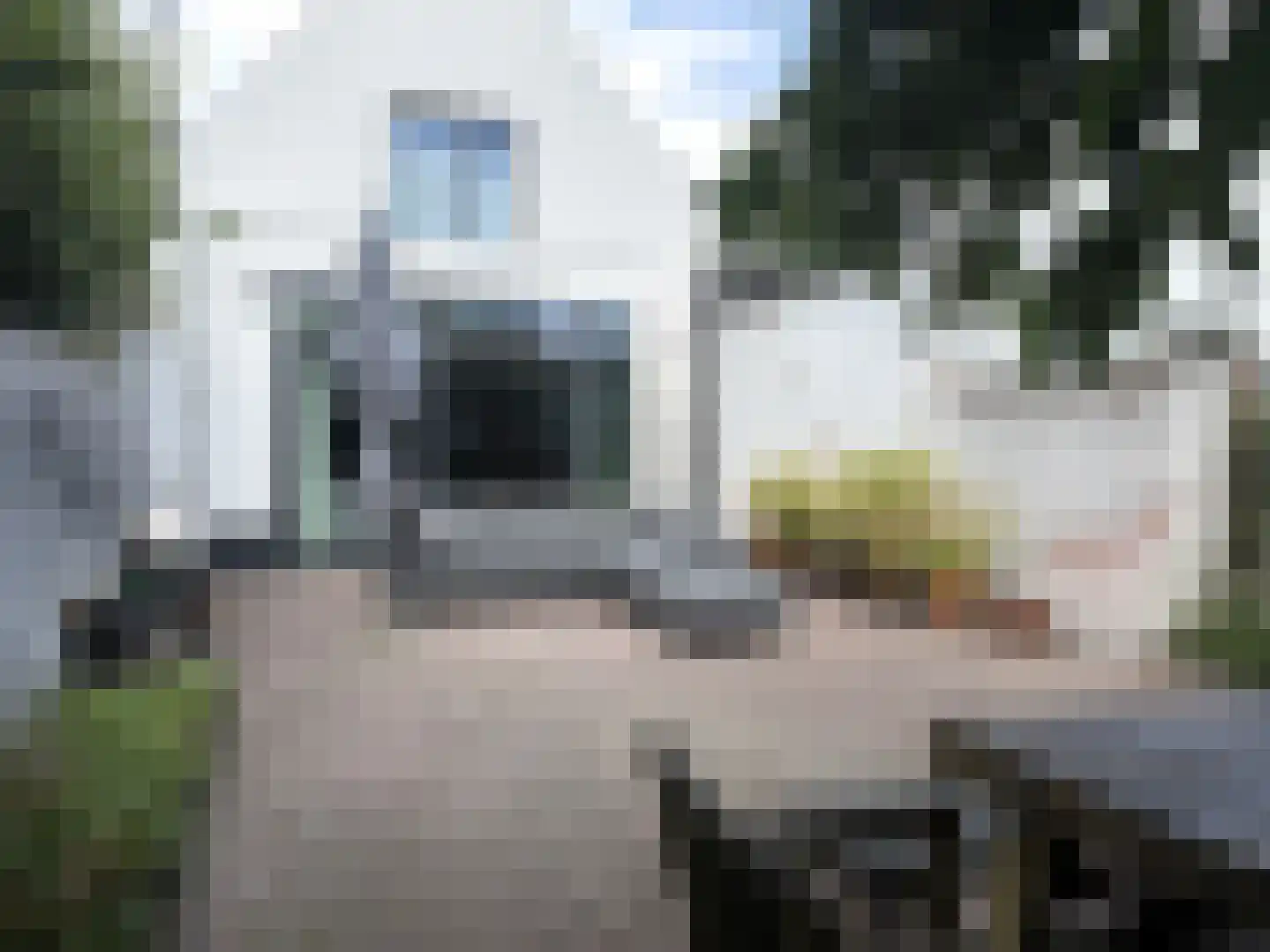 Voorstraat 41 Noordwijk thumbnail 32