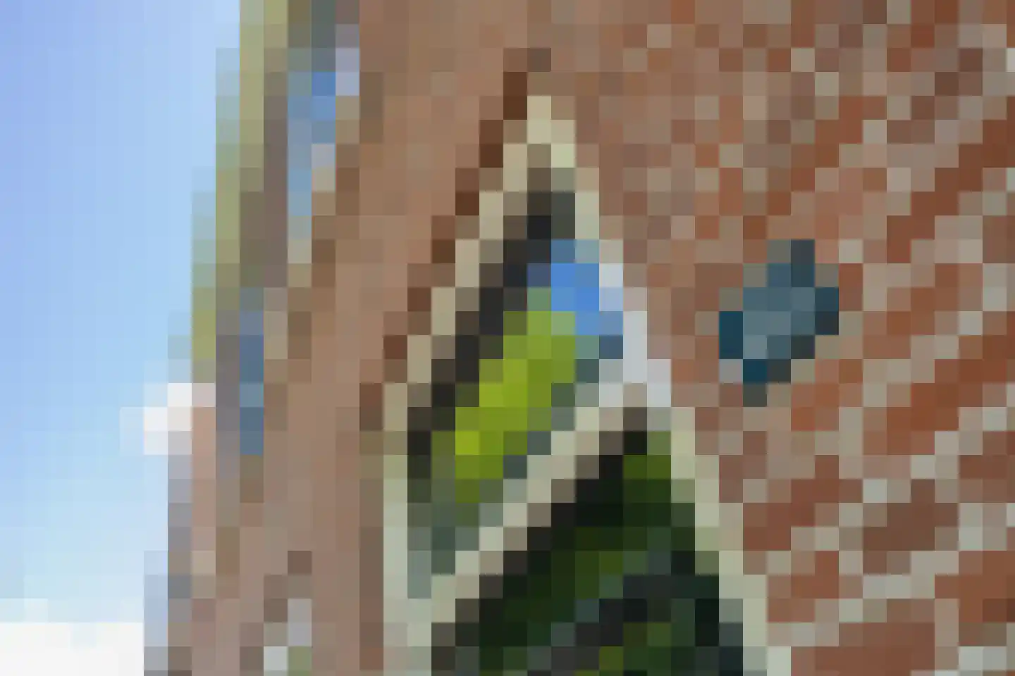 Voorstraat 41 Noordwijk thumbnail 5