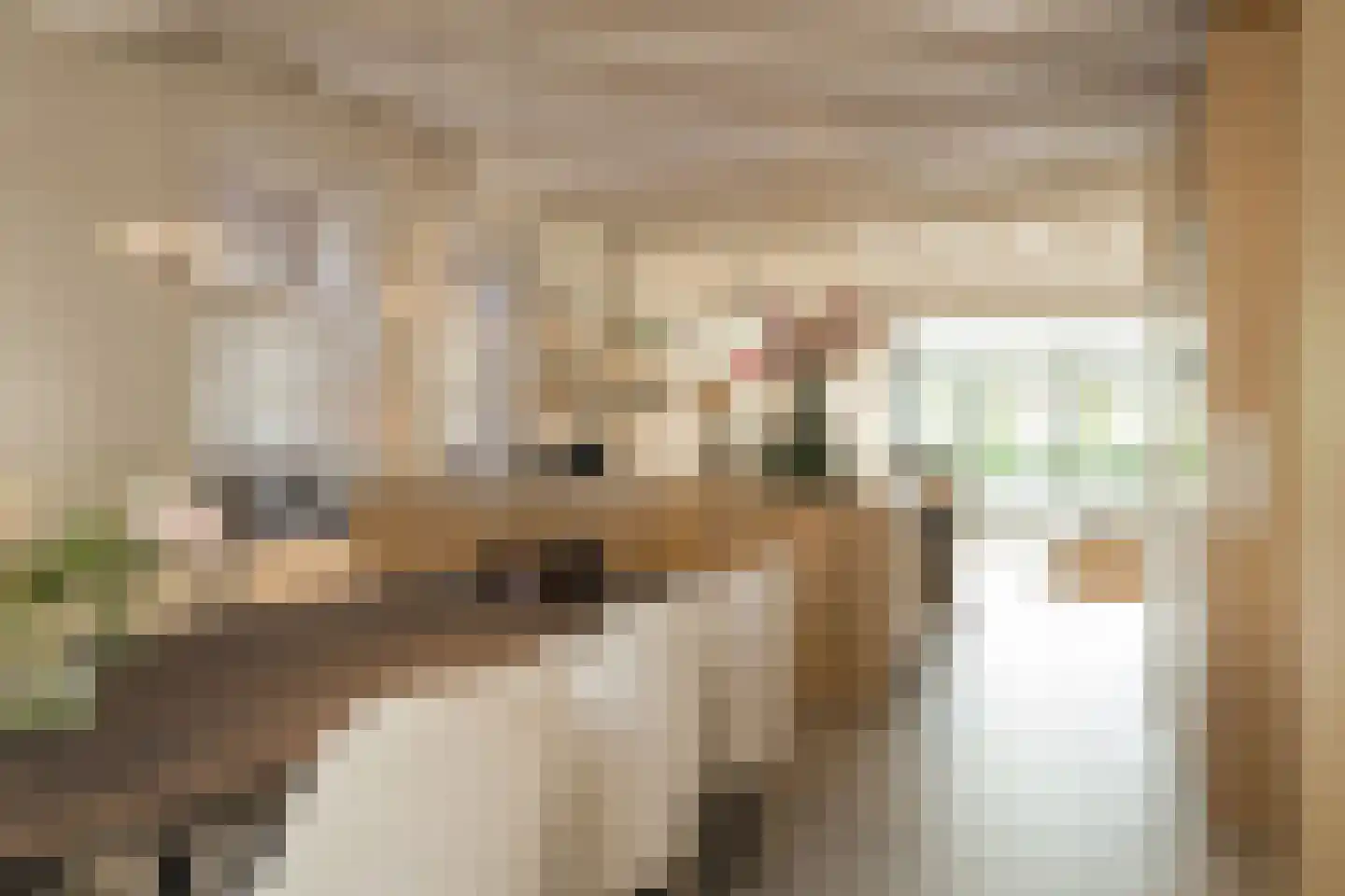 Voorstraat 41 Noordwijk thumbnail 7