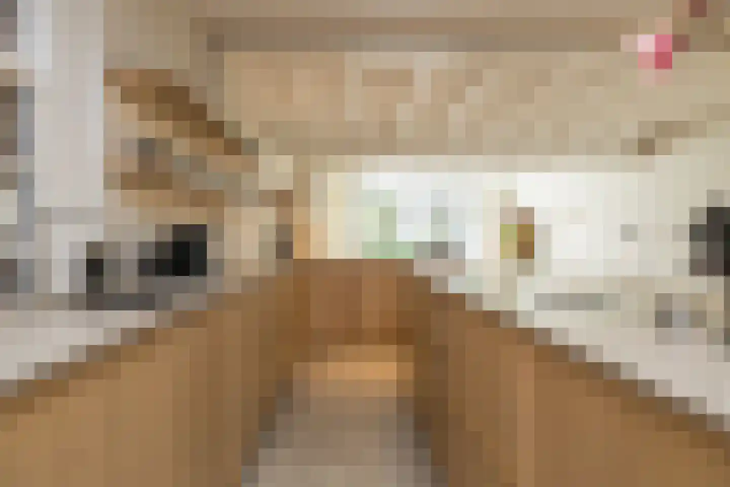 Voorstraat 41 Noordwijk thumbnail 9