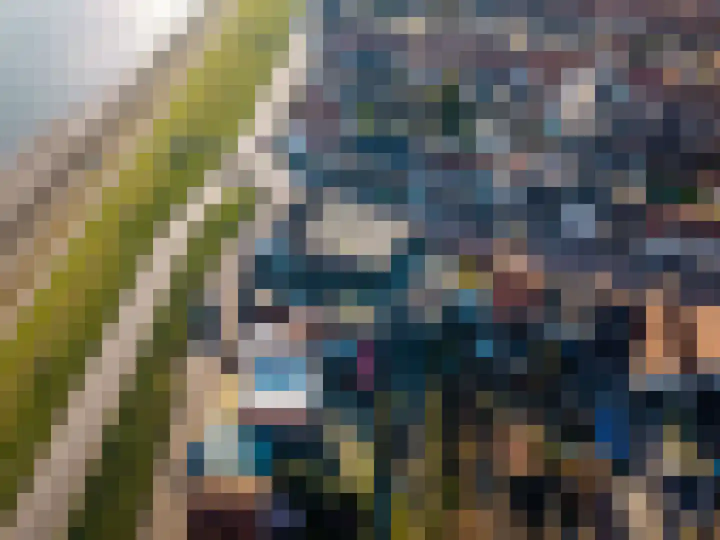 Voorstraat 41 Sint Philipsland thumbnail 32