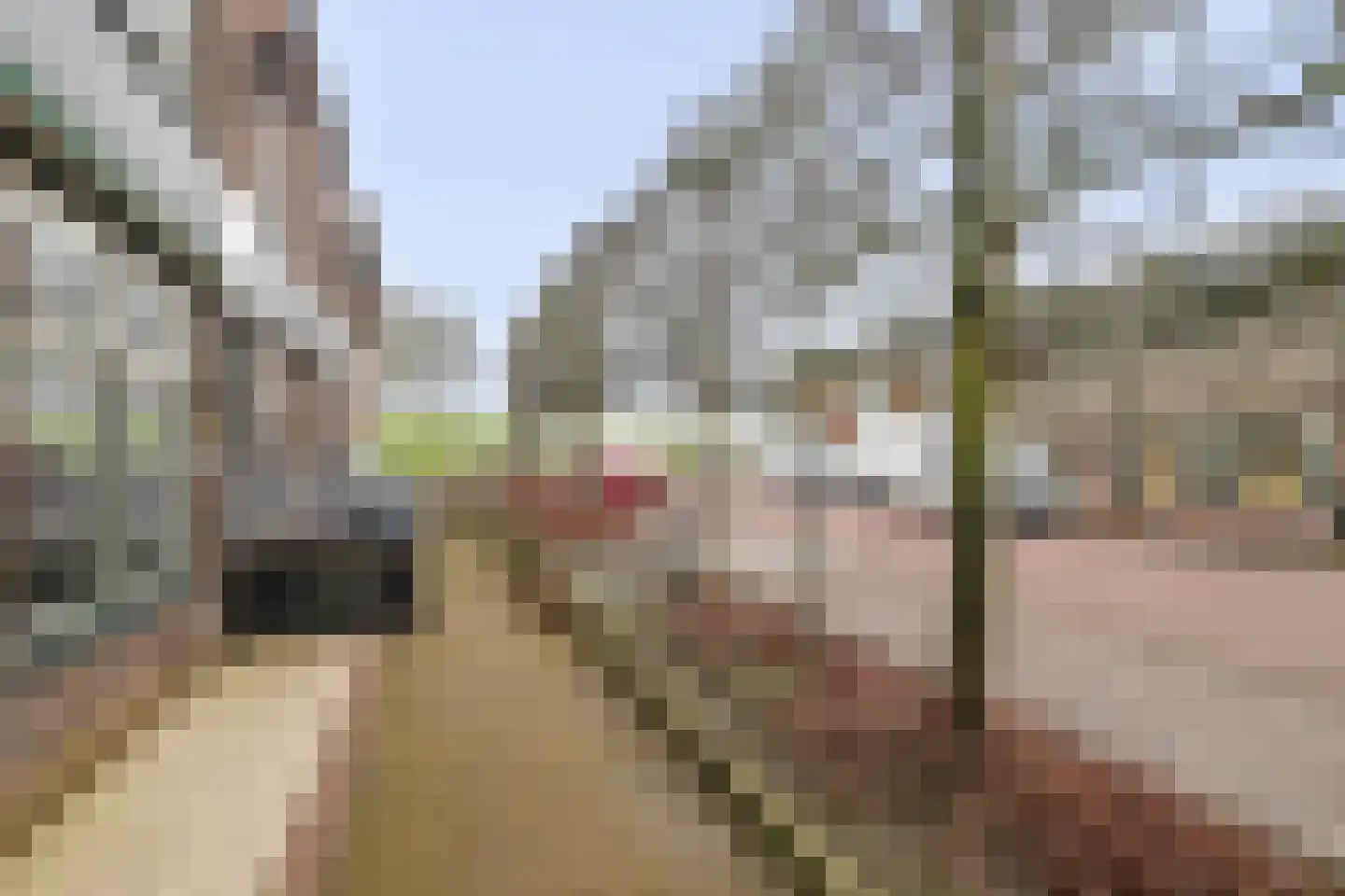 Voorstraat 41 Sint Philipsland thumbnail 5