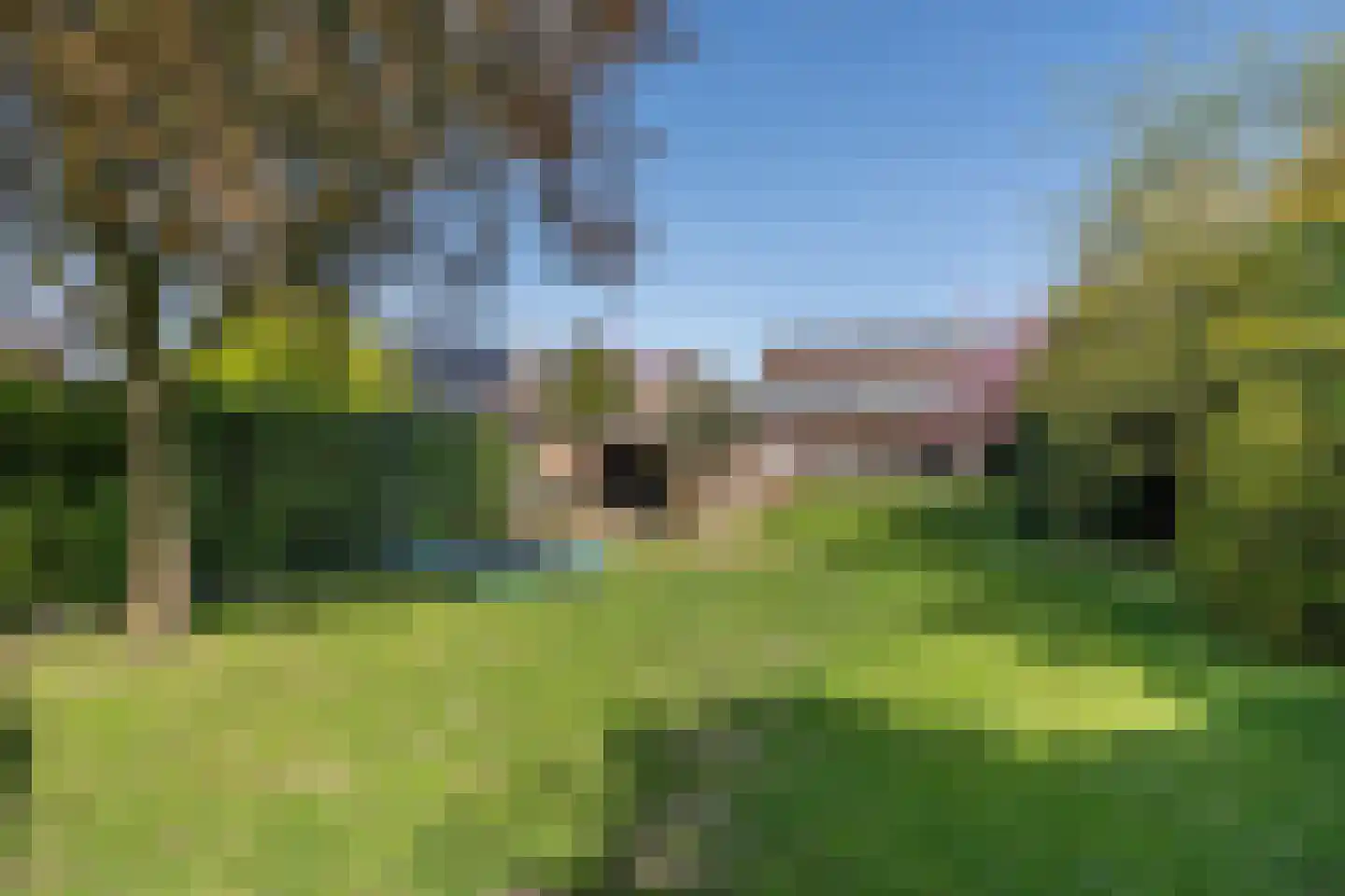 Voorstraat 41 Velddriel thumbnail 38