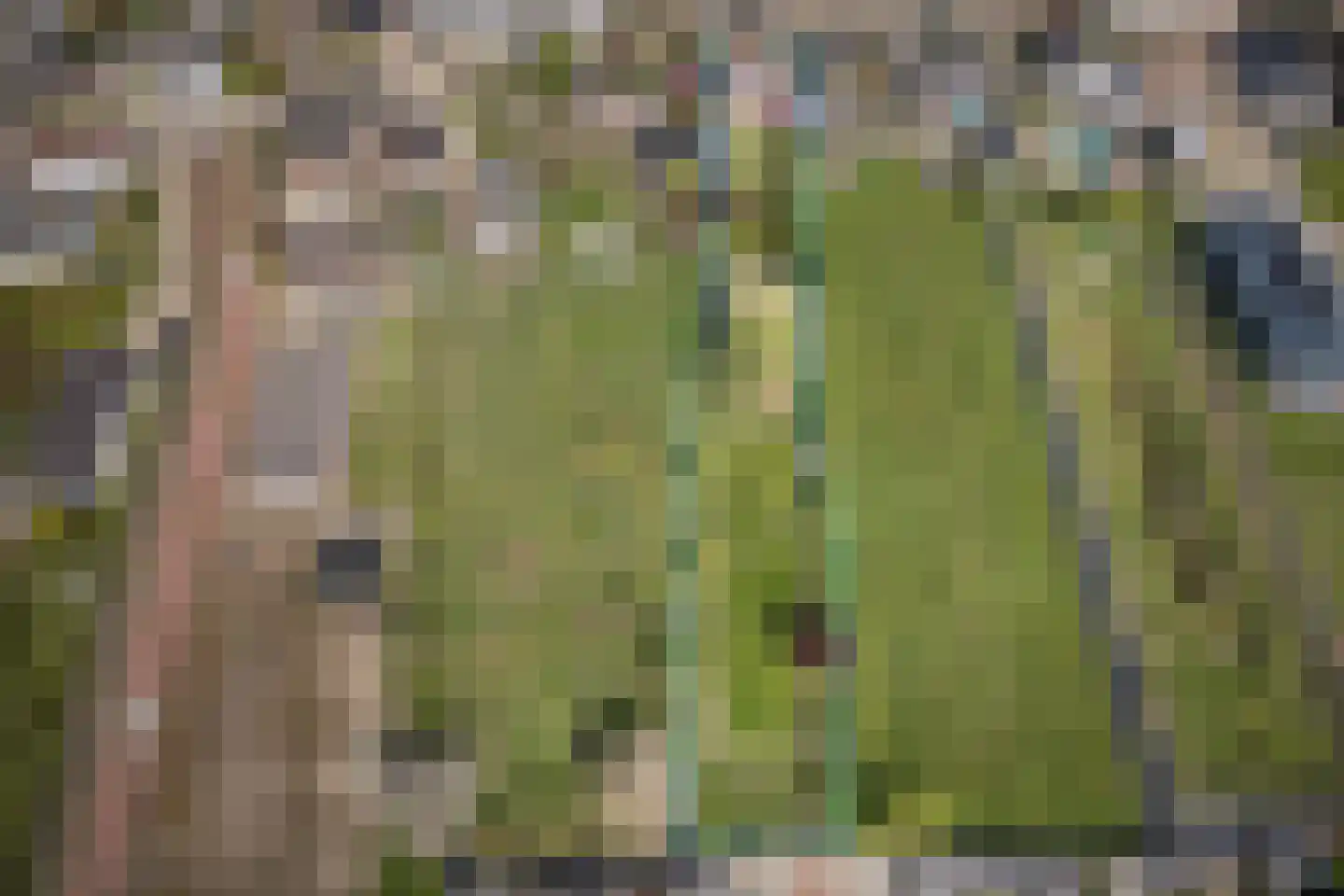 Voorstraat 41 Velddriel thumbnail 4