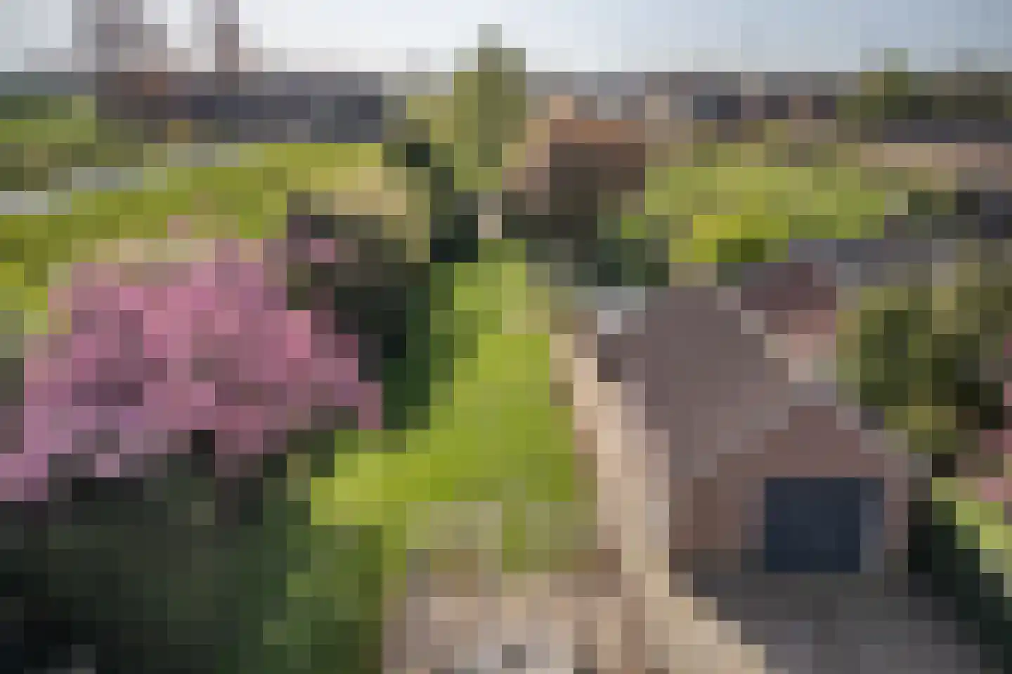Voorstraat 41 Velddriel thumbnail 41