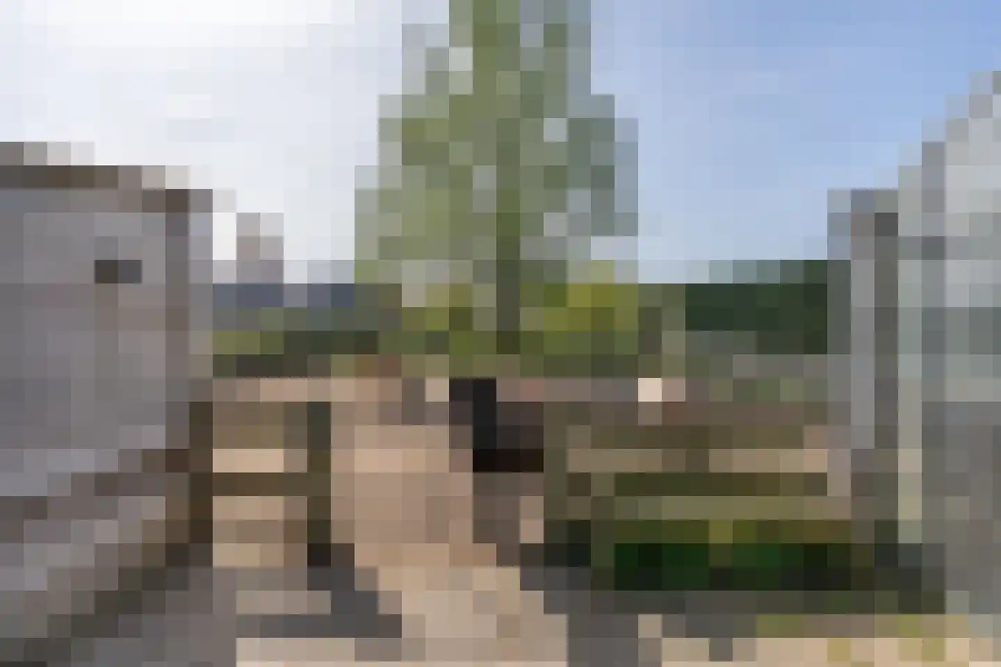 Voorstraat 41 Velddriel thumbnail 43