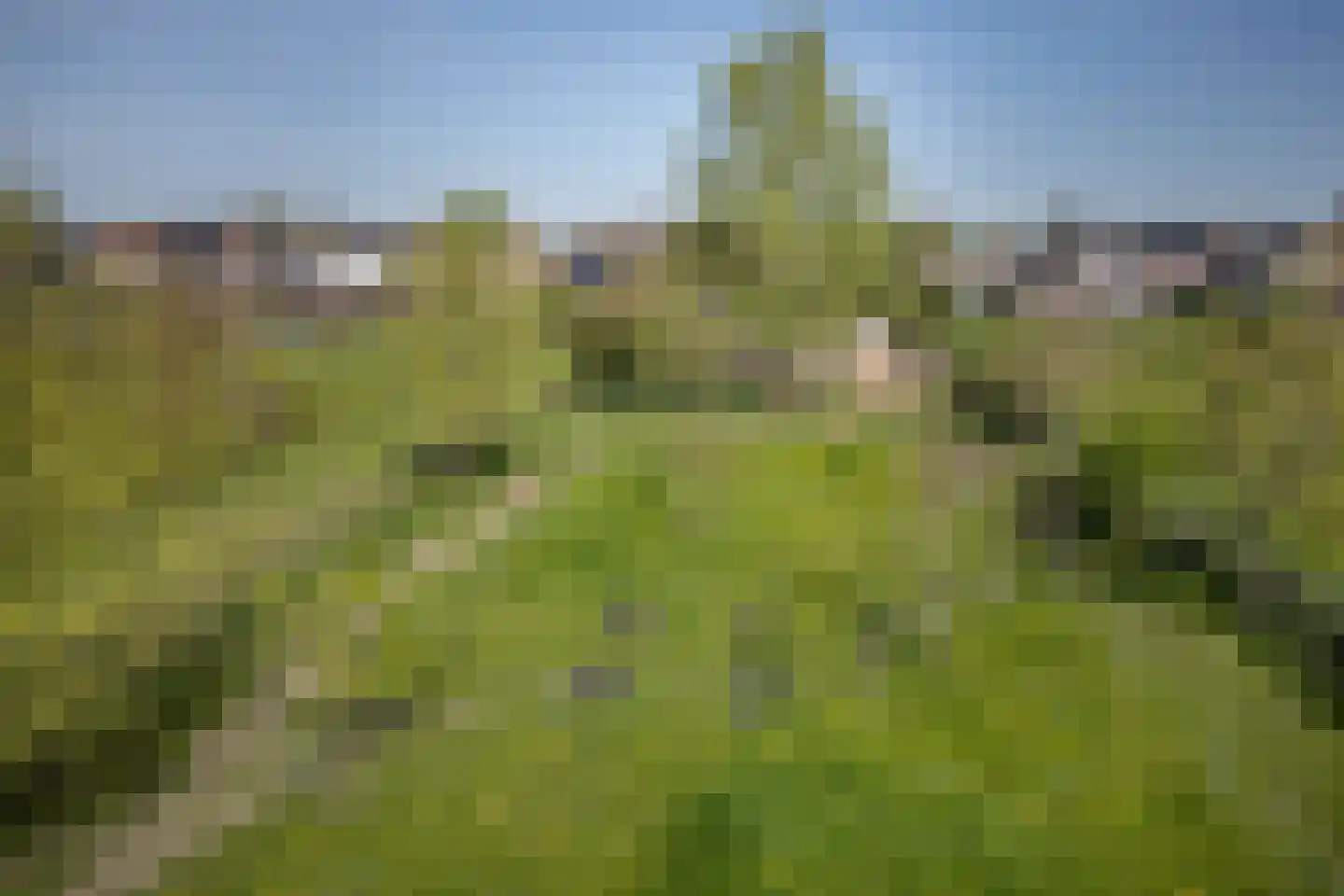 Voorstraat 41 Velddriel thumbnail 47