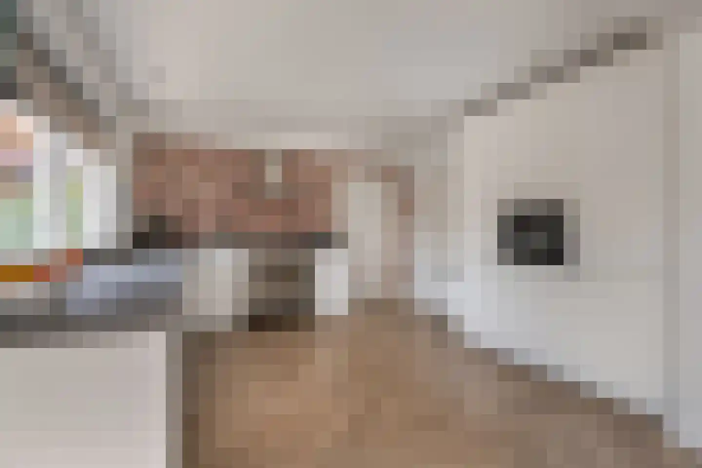 Voorstraat 41 Velddriel thumbnail 5