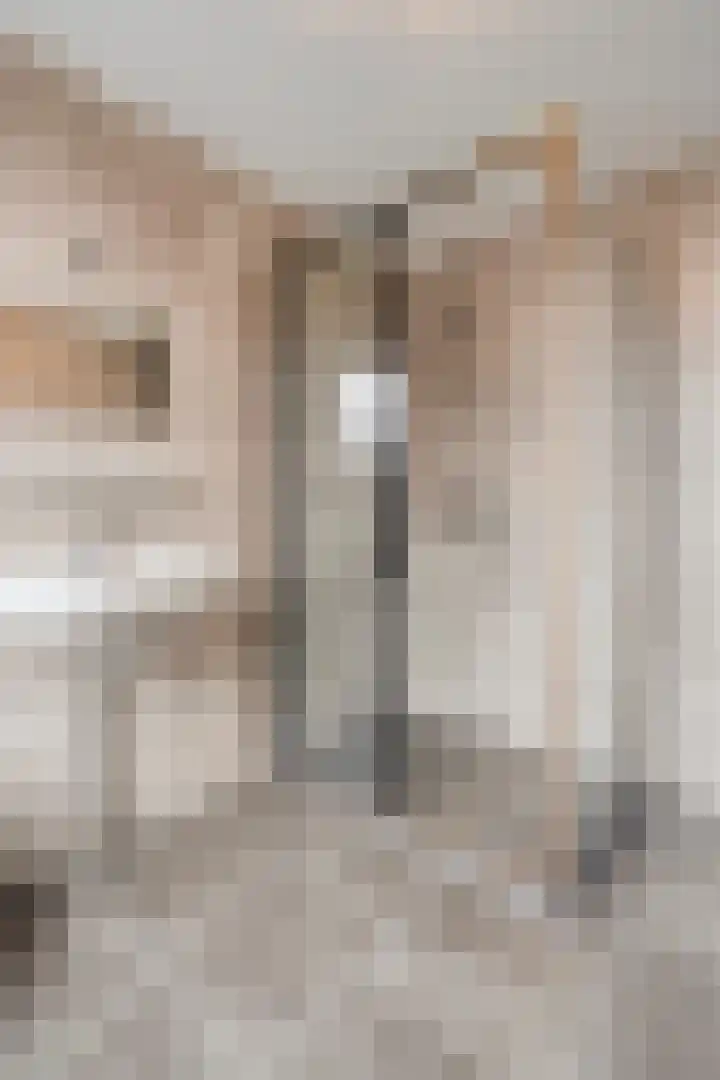 Voorstraat 42 Asperen thumbnail 25
