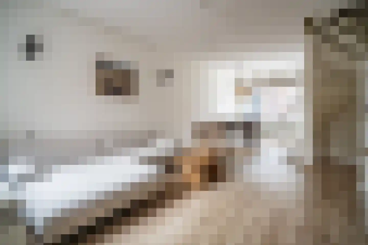 Voorstraat 43 Leiden thumbnail 23