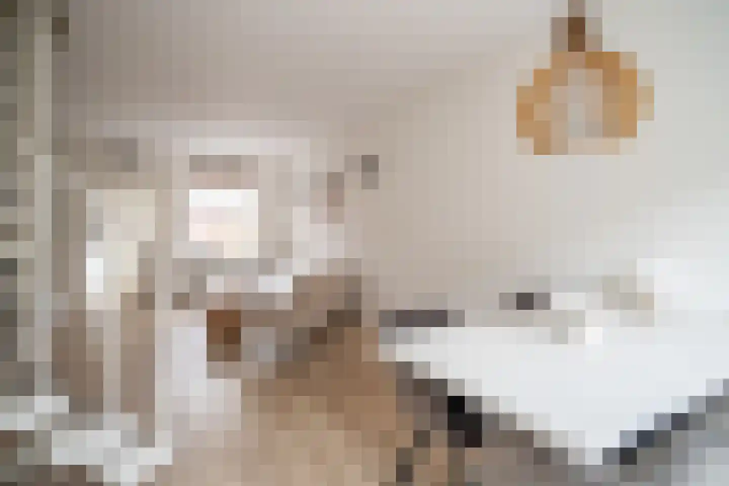 Voorstraat 43 Leiden thumbnail 4