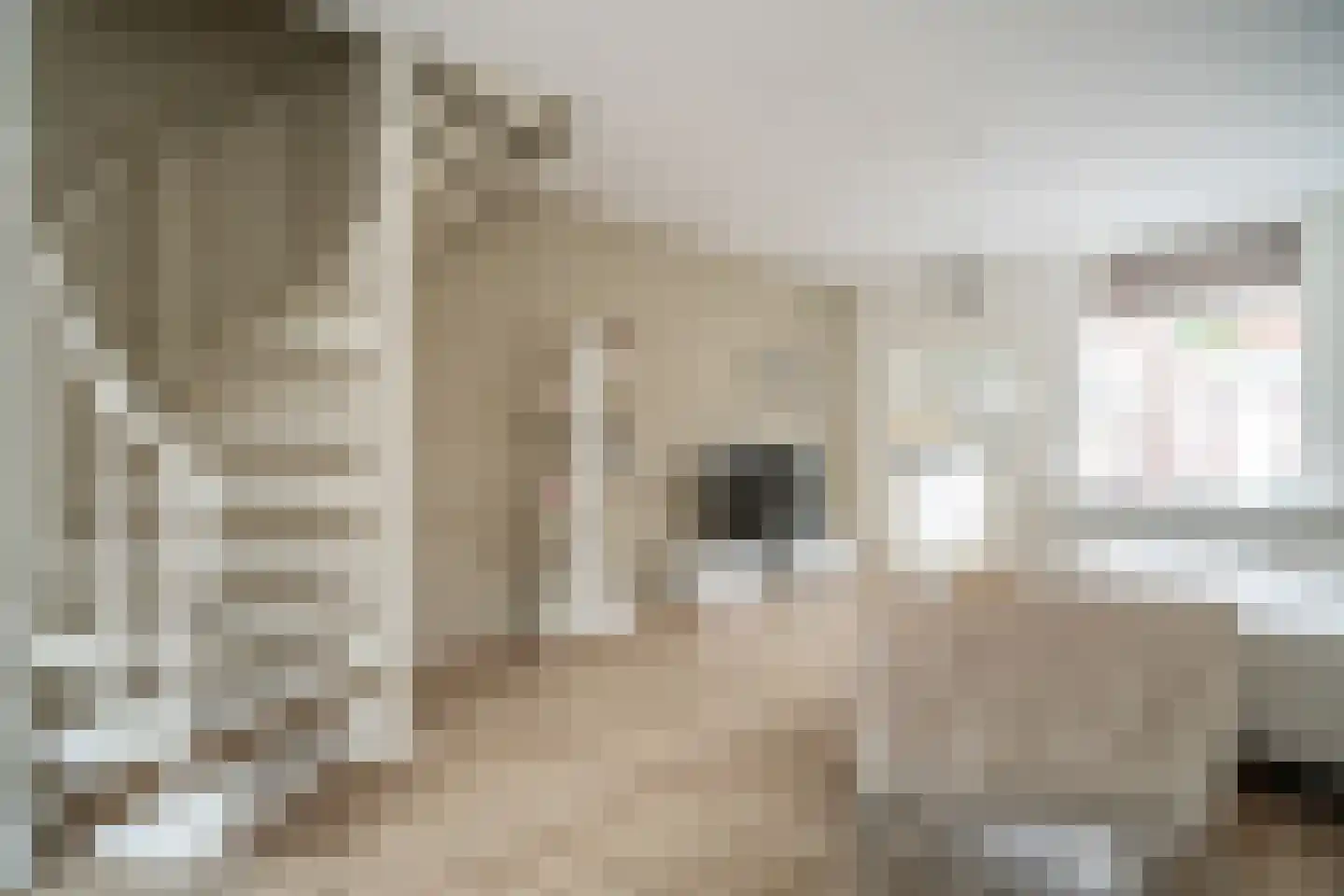 Voorstraat 43 Leiden thumbnail 6