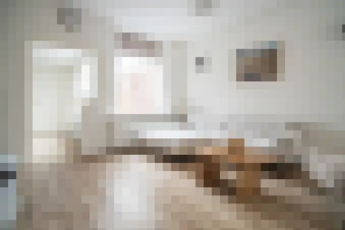 Voorstraat 43 Leiden thumbnail 9
