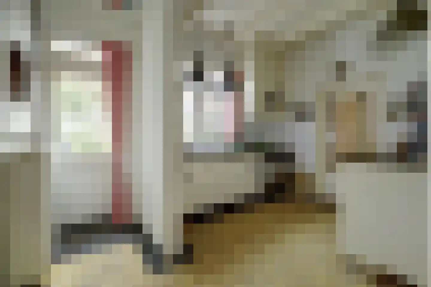 Voorstraat 43 Nieuw-Vossemeer thumbnail 15