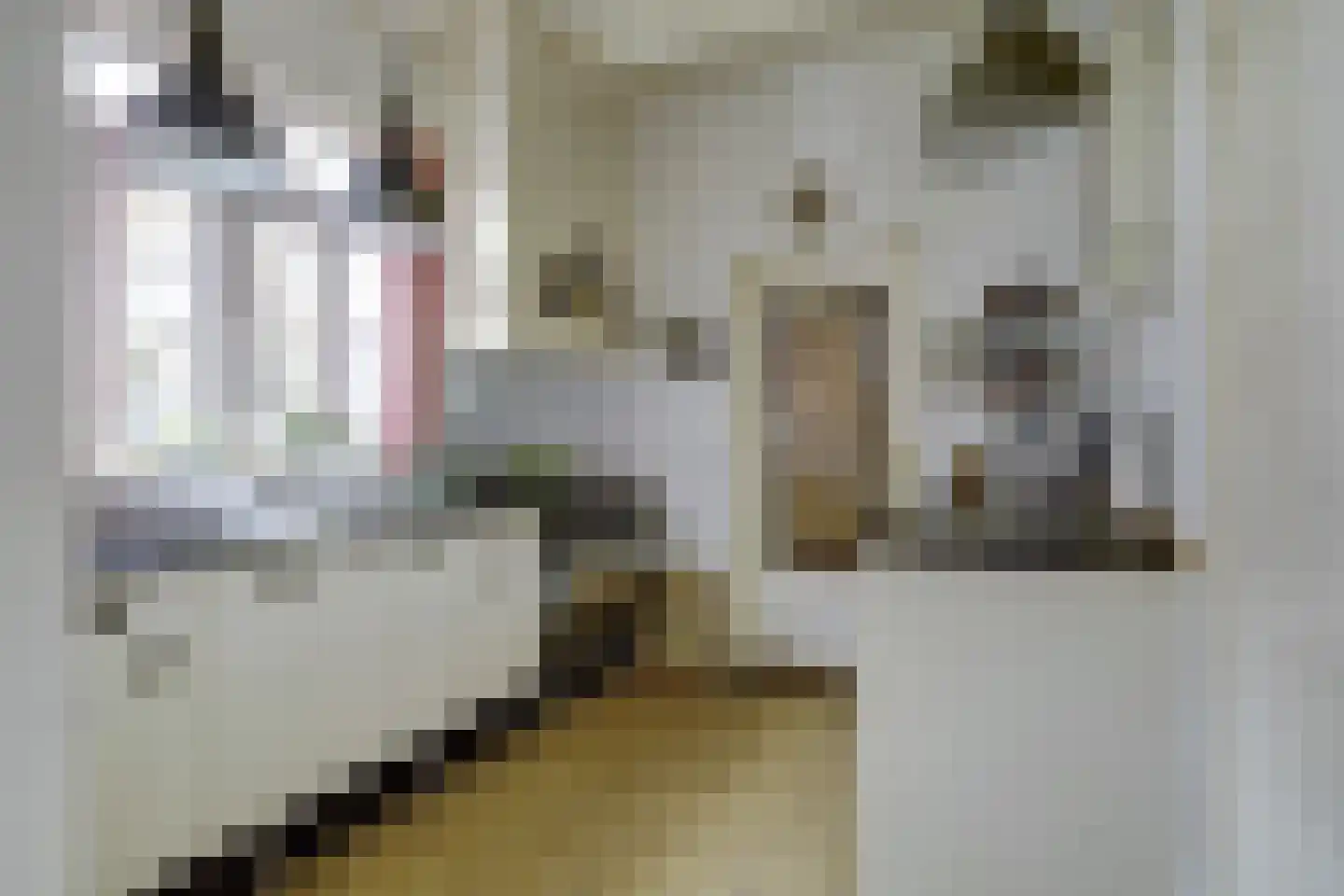Voorstraat 43 Nieuw-Vossemeer thumbnail 16