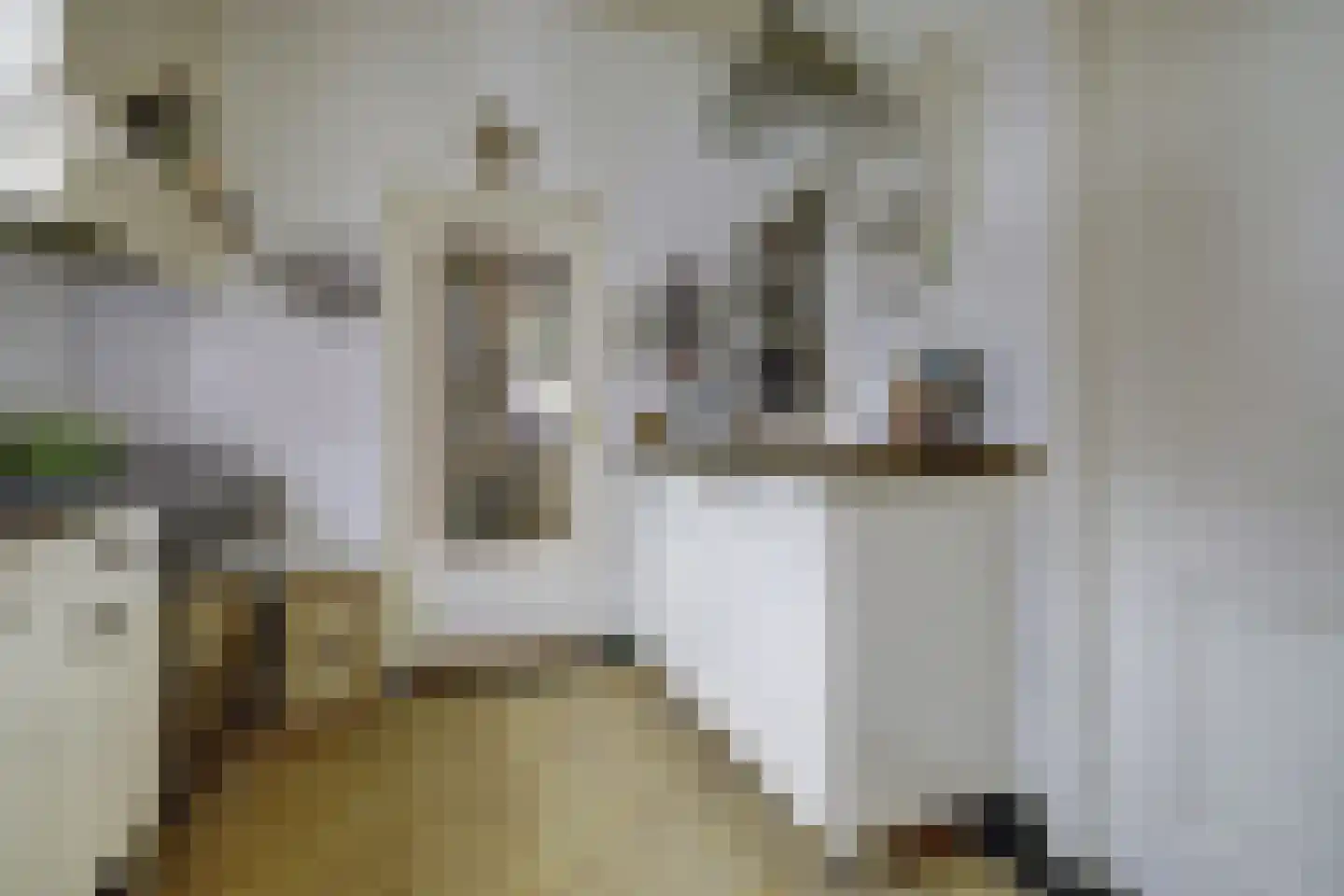 Voorstraat 43 Nieuw-Vossemeer thumbnail 17