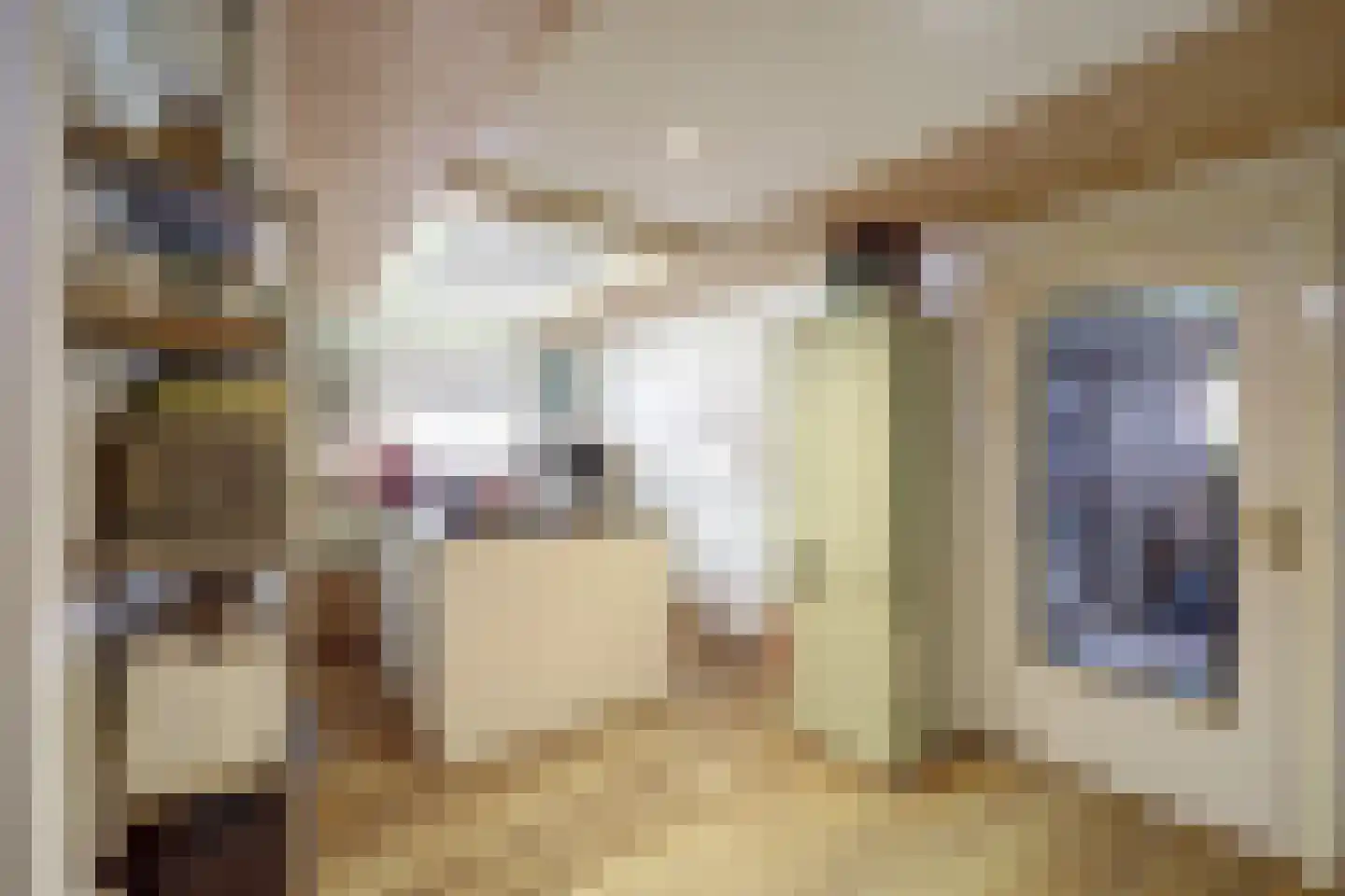 Voorstraat 43 Nieuw-Vossemeer thumbnail 21