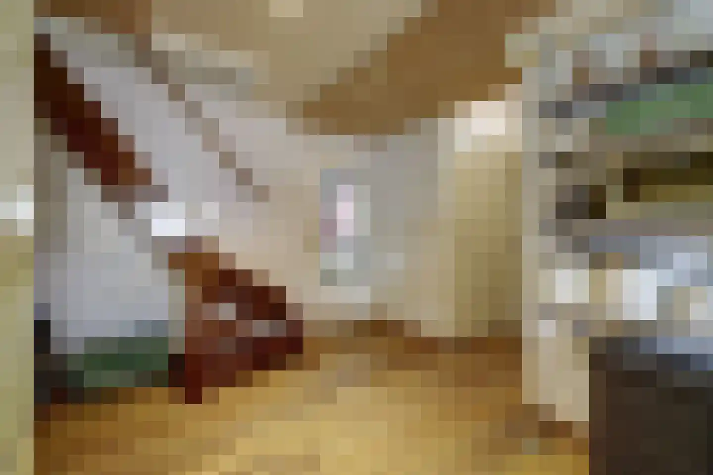 Voorstraat 43 Nieuw-Vossemeer thumbnail 22