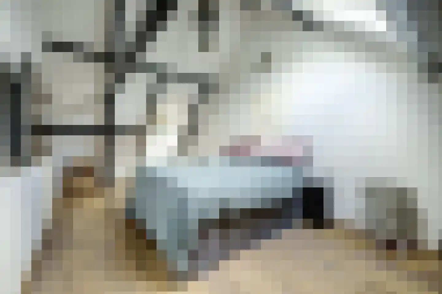 Voorstraat 43 Nieuw-Vossemeer thumbnail 25