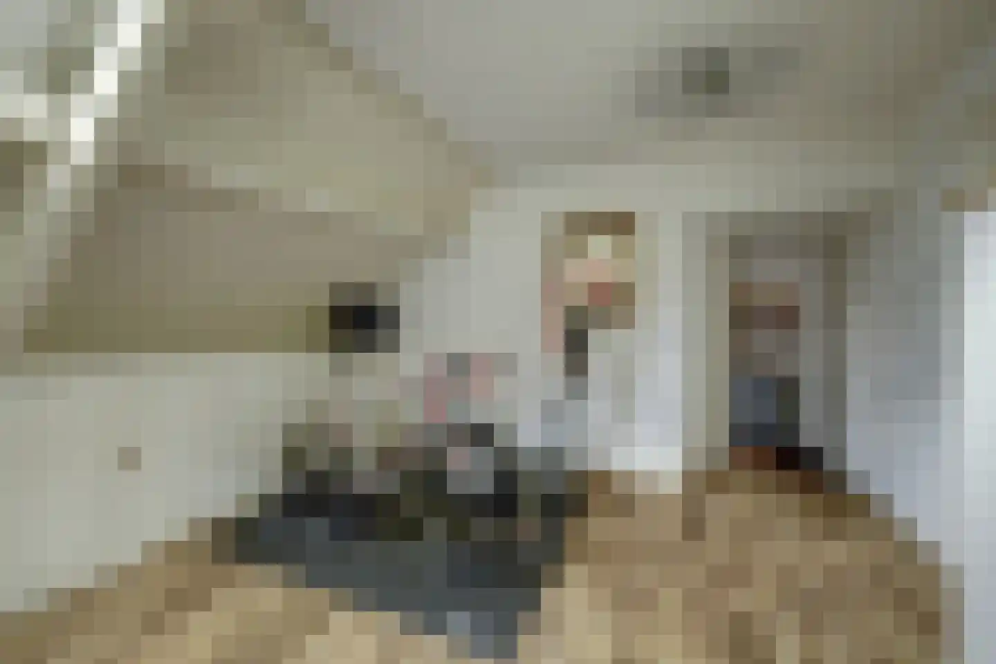 Voorstraat 43 Nieuw-Vossemeer thumbnail 27