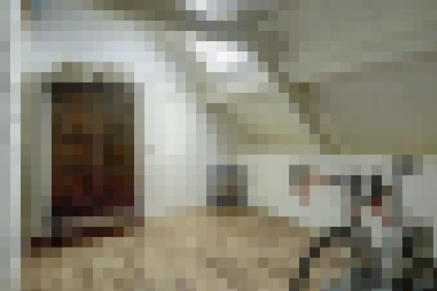 Voorstraat 43 Nieuw-Vossemeer thumbnail 28