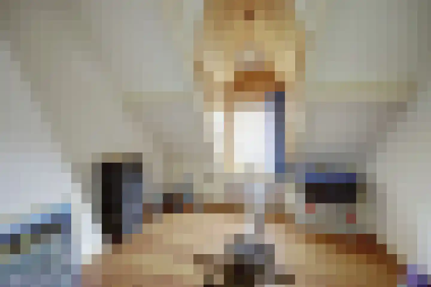 Voorstraat 43 Nieuw-Vossemeer thumbnail 29