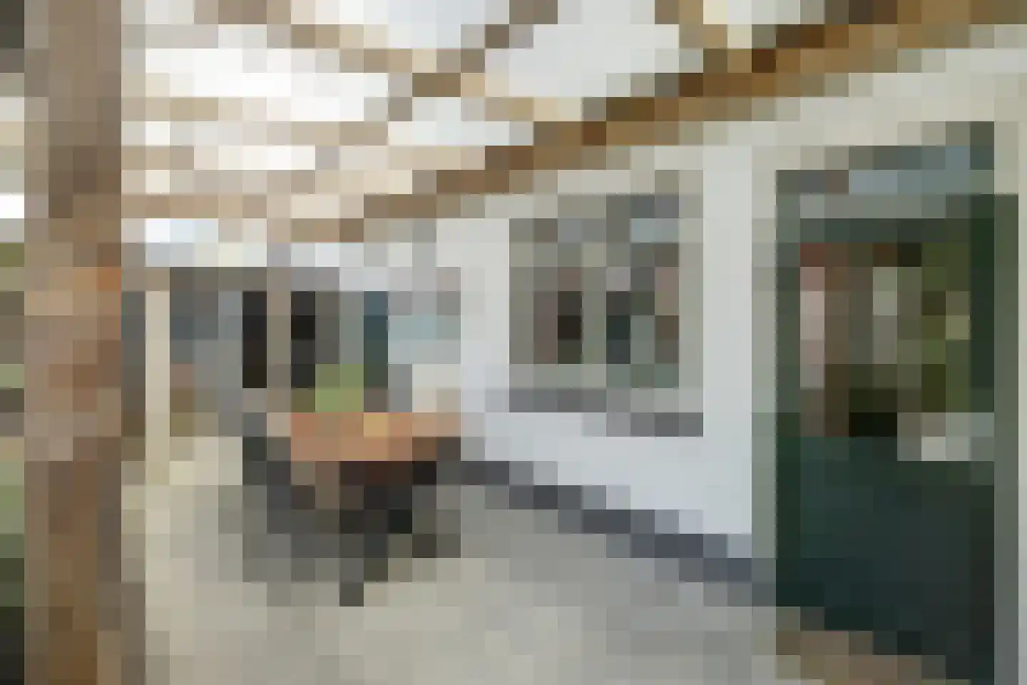 Voorstraat 43 Nieuw-Vossemeer thumbnail 38