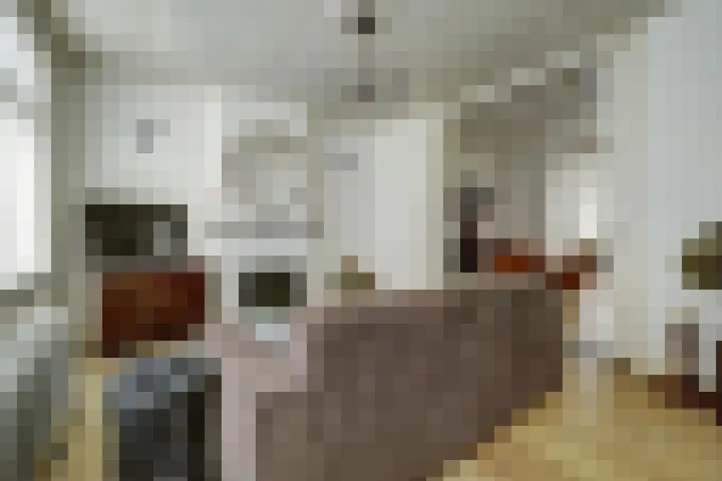 Voorstraat 43 Nieuw-Vossemeer thumbnail 8